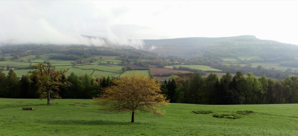 jon_pimm's tweet photo. Lovely early morning view of the Black Mountains. #bmlup Black Mountains Land Use Partnership meeting this morning. https://t.co/tEyb8CG9BA