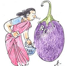 Rupsi_Garg's tweet photo. #NoBtBrinjal
@drharshvardhan @moefcc @cmohry @mlkhattar @OPDhankar https://t.co/K5qpUruVTY
