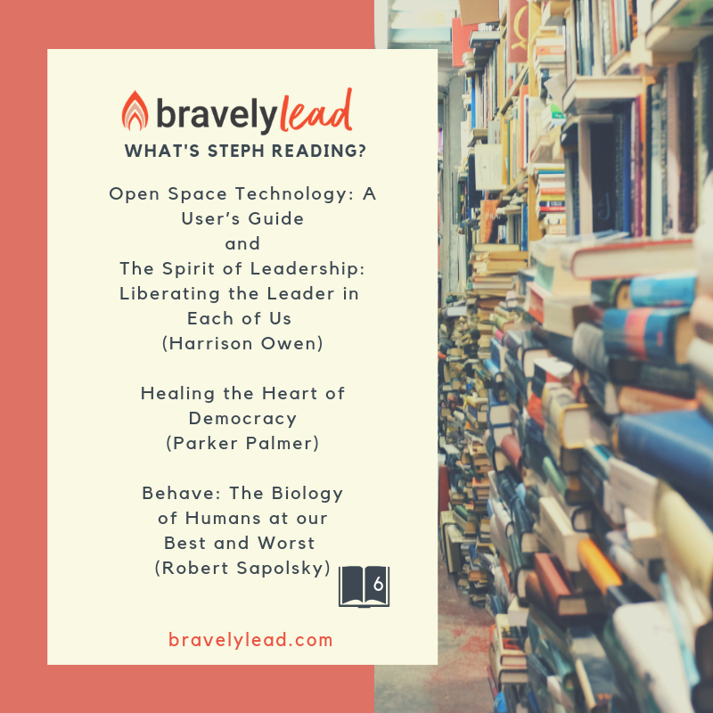RedheadSteph's tweet photo. Has anyone else read the book on Open Space? If you are leading or facilitating meetings or events this is a must read on a really versatile technique. Check it out and the other titles on list #6. #openspace #bravelylead #brave #findyourinnerleader https://t.co/Ijvfgj0BgH
