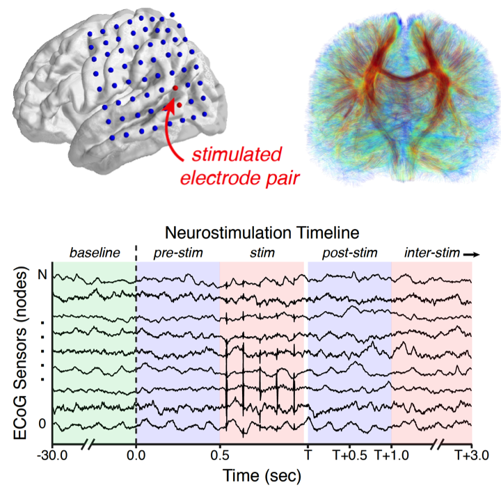 DaniSBassett's tweet image. Just out in @netneurosci "Functional control of electrophysiological network architecture using direct neurostimulation in humans"  led by @ANKhambhati in massive collaborative effort. tinyurl.com/y5fqs76q