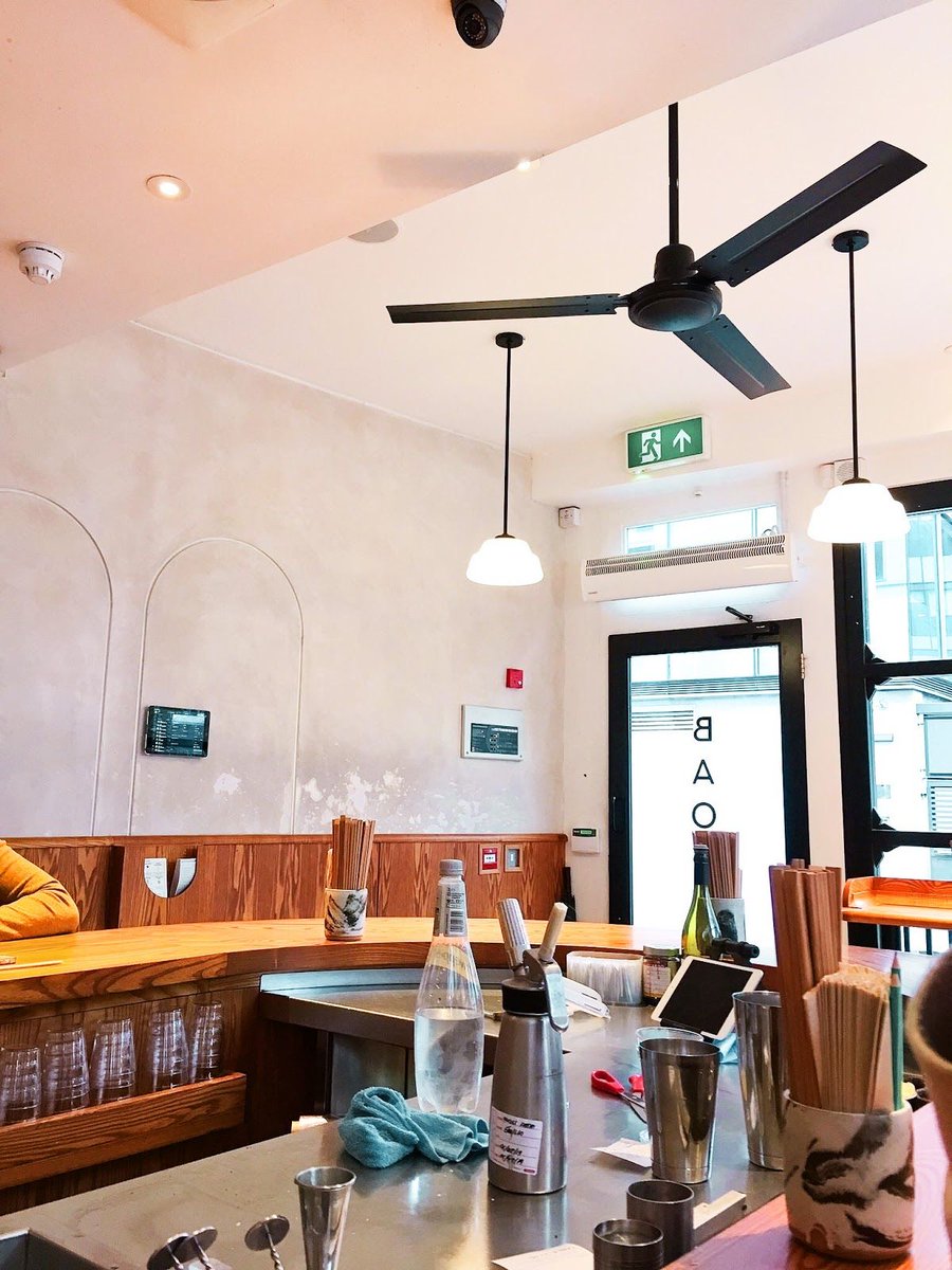 Fiona🌟 tweet media