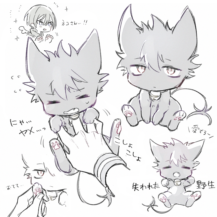 クロニャン………………🐱 