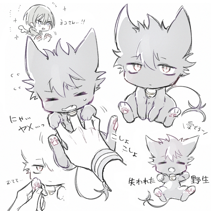 クロニャン………………🐱 