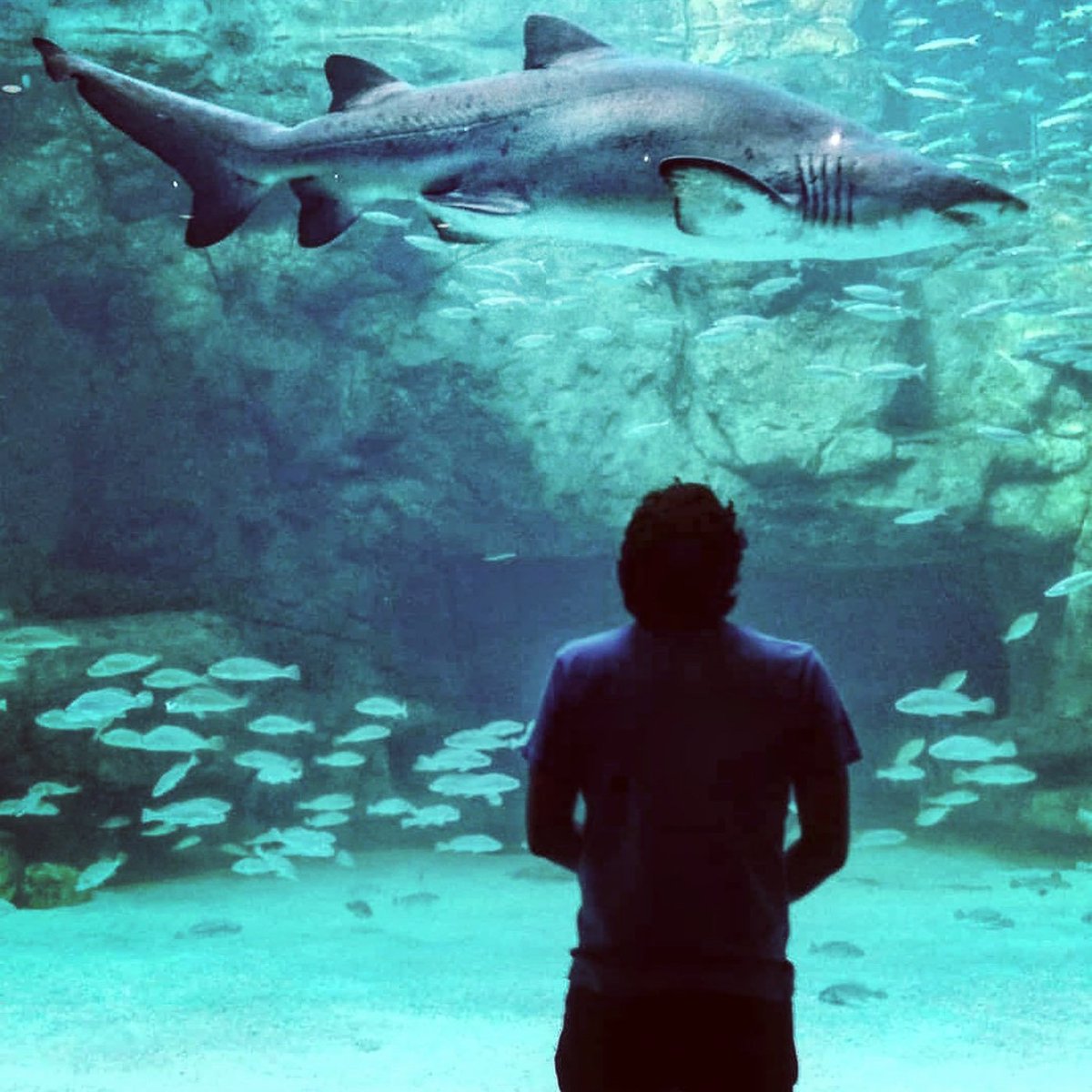 New music video released for the single Hold This Thought. It's a self-produced little piece of art.. Enjoy responsibly!
youtu.be/iL0Ag8kxlBg 

#newmusic #NewMusicVideo #DaneWoods #CapeTown #HoldThisThought #video #band #radio #MusicMonday #musicvideo