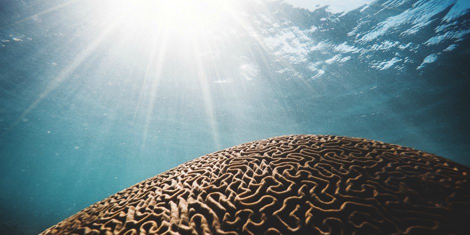 Usmman_'s tweet photo. Social Media and #Pyschology: 8 Lessons for #Marketers - https://t.co/JNq9Vw83pH via @Hootsuite #MarketingPsychology https://t.co/3gJi9mczCD