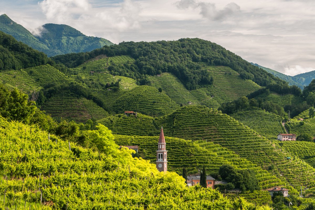 Le Top 10 des meilleurs #Prosecco avec notre domaine <a href="/SorelleBronca/">Sorelle Bronca</a> 🍾🇮🇹😎►bit.ly/2DF0lTp @Figaro_Avis_Vin
