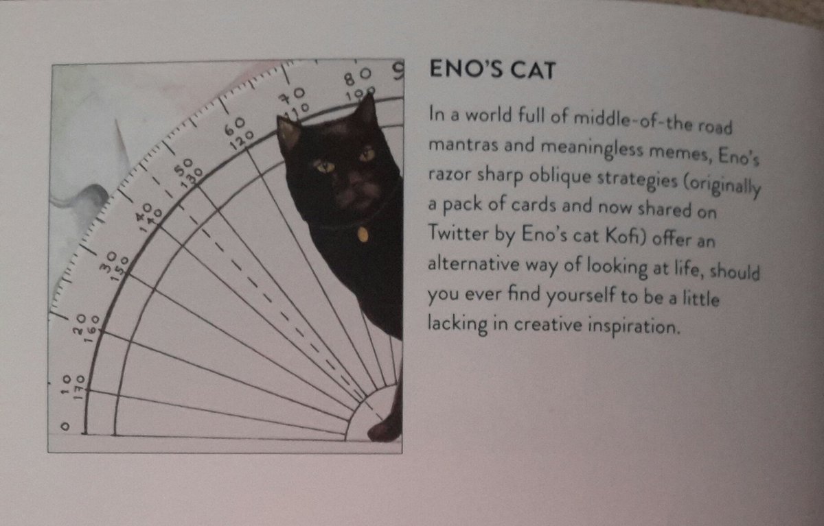 Eno's Cat