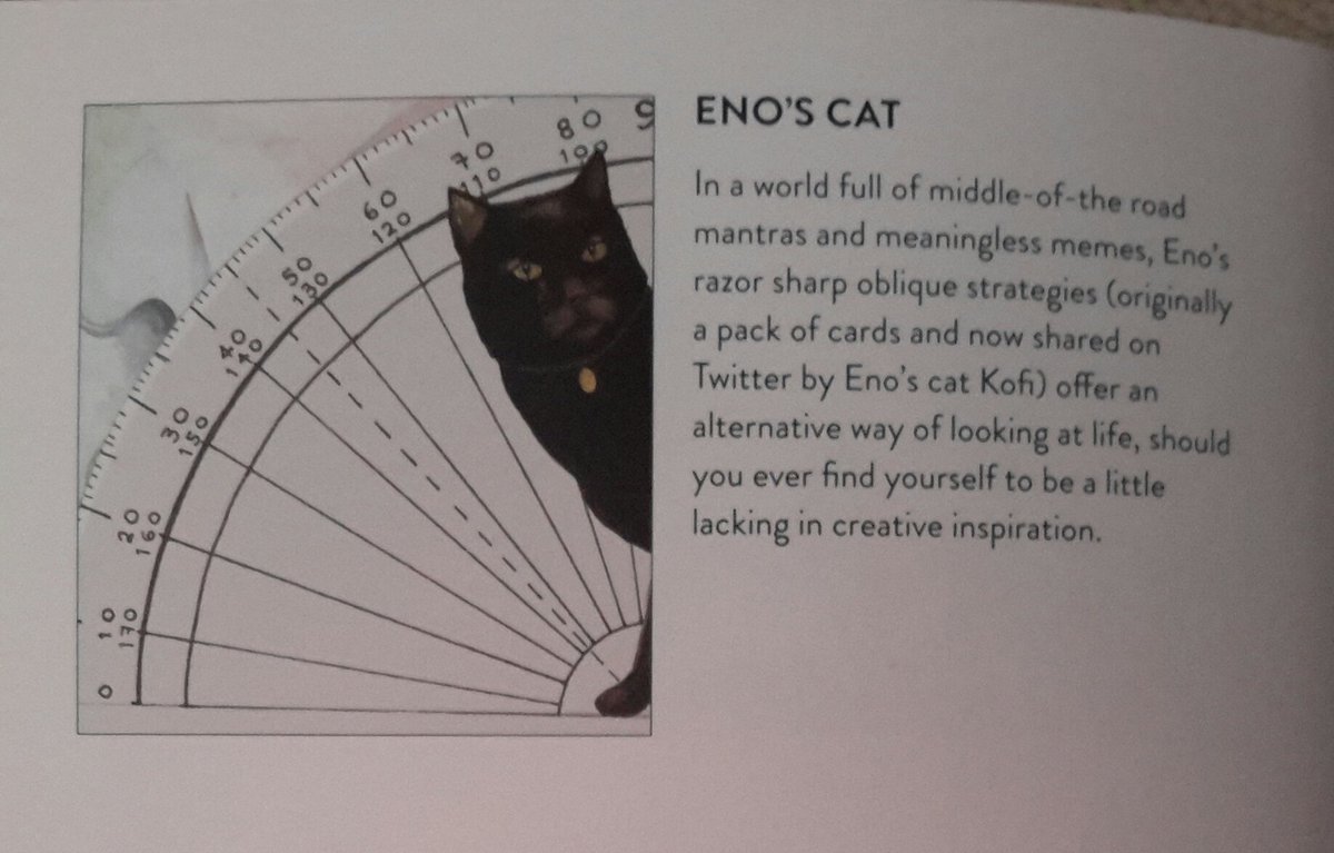 Eno& #39;s Cat