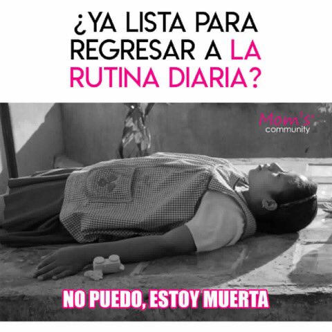 lospinchos's tweet photo. Se terminaron las vacaciones! De regreso a la rutina! https://t.co/tecQsizAtG