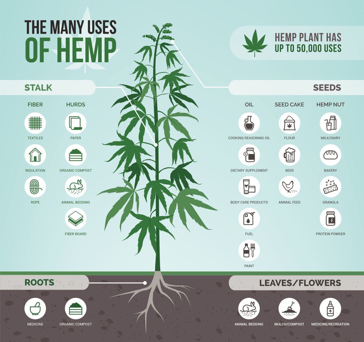 The ancient medicinal modern multi-tasker that has never been more "in"...#HEMP 

HEMP
clothes us
feeds us 
heals us 
helps soothe sleep, pain &amp; anxiety
&amp; provides fuel, rope and housing materials

#CBD #naturalmedicine #fashion #paper #bags