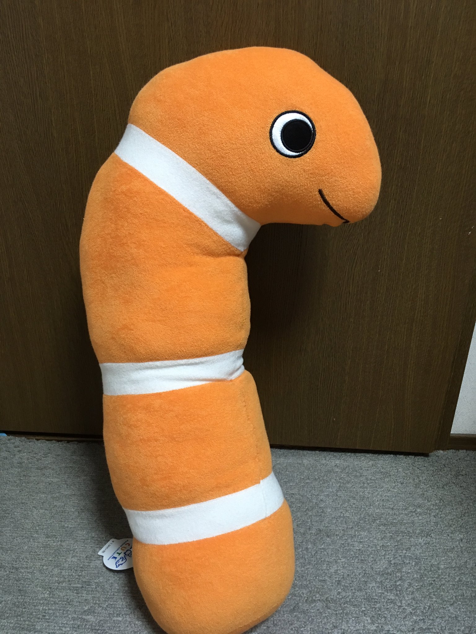 まみ のんびりトキブイ活動中 昨日一目惚れして買ったチンアナゴ抱き枕 可愛いし肌触り好みでいいんだが 背中を自分側にしないと顔が当たるから眠れない 使ってみないとわからなかった新事実 T Co Kclwi75pqv Twitter