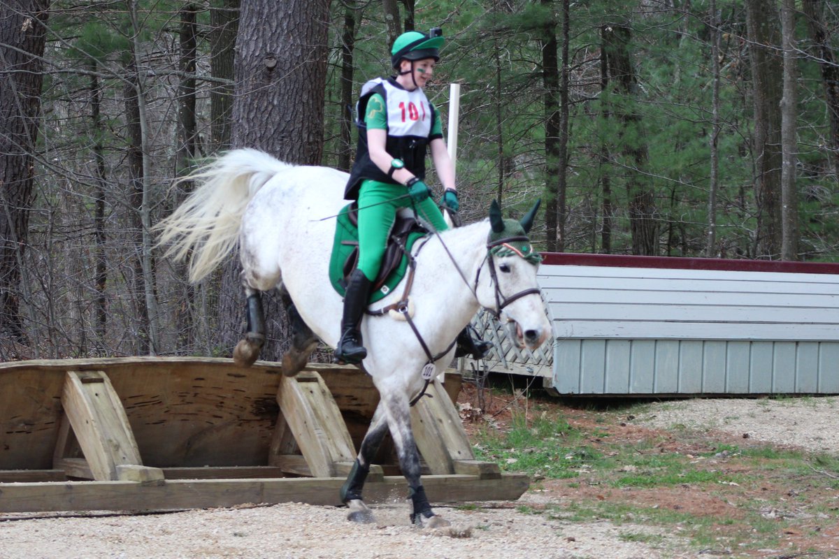 TeamNeala's tweet photo. While we would have loved to be at #LRK3DE, Sunday was a great first #USEA show of the season. Starting where we left off, at the UNH Horse Trials... Neala did so well finishing 2nd on our dressage score of 31.0. Love this horse!💚☘️#TeamNeala #Eventing #Equestrian #UNH https://t.co/v7k3N6u8yg