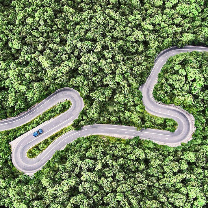 I'm on a highway to #cannabis heaven. 🎨 by dan_cretu on IG