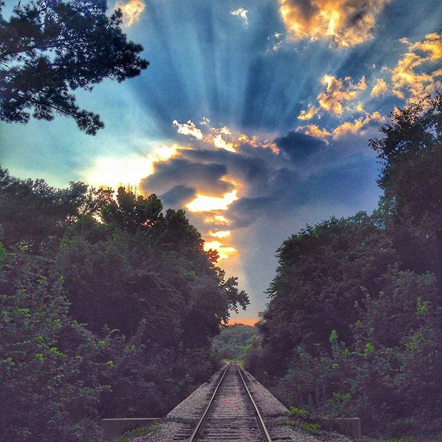 My East Texas tweet media