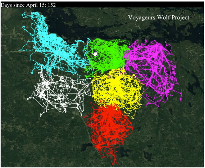 khushgill7's tweet photo. Visualization of wolf pack territoriality - based on 68,000 GPS-locations over a 7 month period: https://t.co/2FFNnVotA6 https://t.co/Va1DSv0DpO