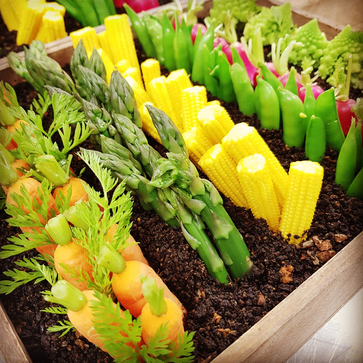 Edible garden for an event today <a href="/foodatsky/">Tristian Harmsworth</a> <a href="/workforsky/">LifeAtSky</a>
