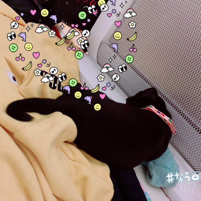 最近ヒーターつけると、真っ先に真ん前で寝始めるけど、暑く、、いやむしろ熱くないのですか？？？👀👀👀 #pug #パグ #黒パグ #ブラモン #blackmonster #2ヶ月 https://t.c<a href="/tag/pug"class="tags">#pug</a><a href="/tag/%E3%83%91%E3%82%B0"class="tags"><span>#パグ</span></a><a href="/tag/%E9%BB%92%E3%83%91%E3%82%B0"class="tags"><span>#黒パグ</span></a><a href="/tag/blackmonster"class="tags"><span>#blackmonster</span></a><a href="/tag/2%E3%83%B6%E6%9C%88"class="tags"><span>#2ヶ月</span></a><a href="/tag/%E3%83%96%E3%83%A9%E3%83%A2%E3%83%B3"class="tags"><span>#ブラモン</span></a>