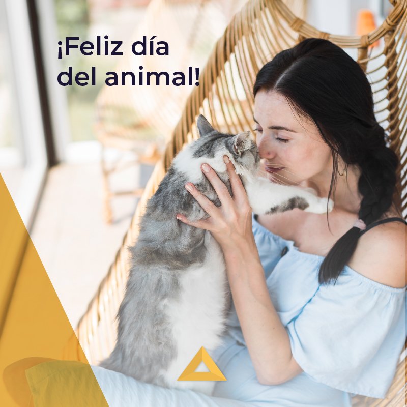 buildingtower's tweet image. Todo el amor que les damos es incomparable con el amor que ellos nos dan todos los días. #FelizDíaDelAnimal a nuestros seres especiales ♥ 🐶🐱