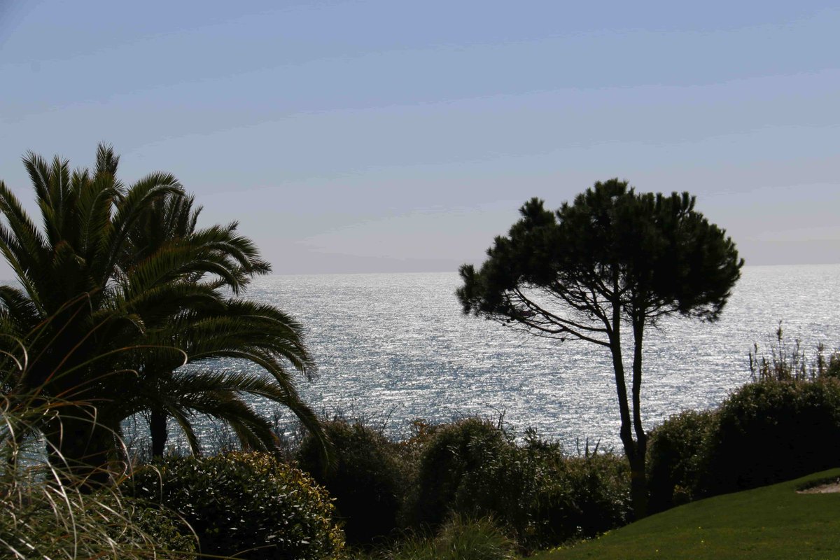 Vila Vita Parc tweet media