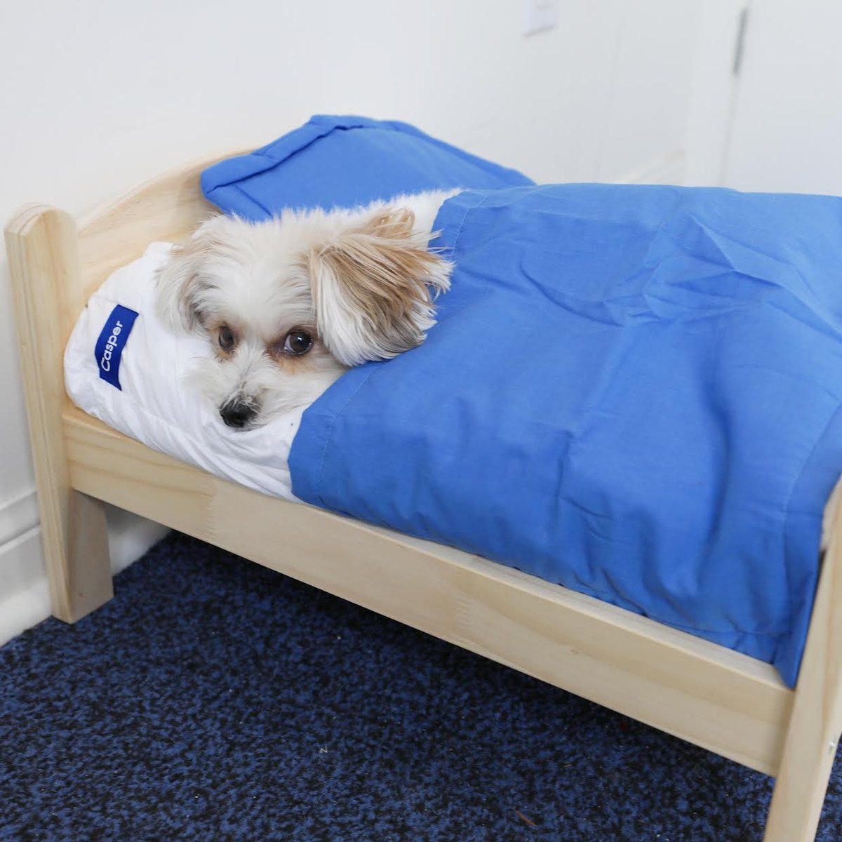 Casper's tweet image. Monday? Never heard of it. 
instagram.com/hermaninthehood