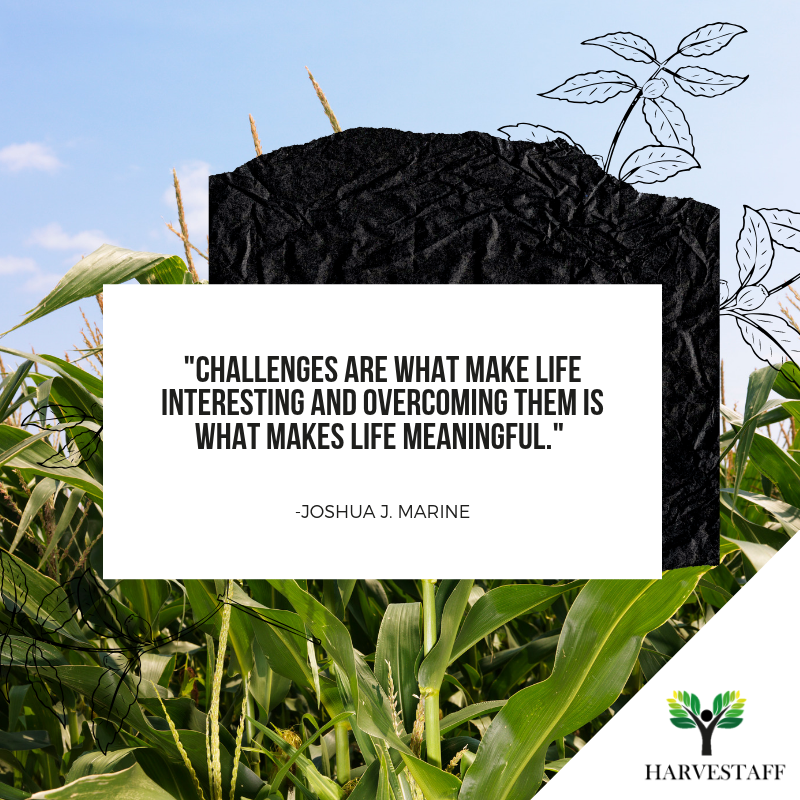 Marine Quotes Xo | 90 Quotes X