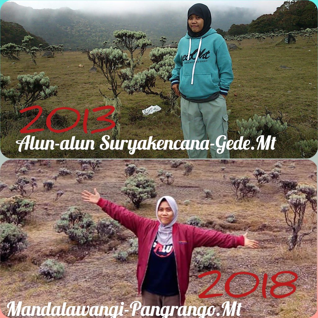 Nesya_aulia's tweet photo. Mendaki diusia yg tak muda lagi *sadar diri* heee adalah sebuah #bonushidup menurut gw dr Allah,,butuh perjuangan dan keyakinan utk bisa #summitattack dan smua tak lain #jalanAllah #ketetapanAllah menikmati indahnya #edelweis diatas ketinggian #gedepangrangomountaint #flashback https://t.co/QgoTI3shKW