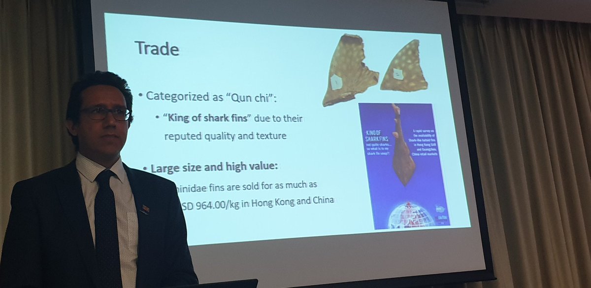 OfficialSASC's tweet photo. Sri Lanka is a proponent of the @cites4sharks #AppendixII listing of #wedgefish. Wedgefish populations are critically endangered and vulnerable throughout their range but managed trade can help them recover. NB: their fins are of high value &amp; fetch up to USD964/Kg in China &amp; HK https://t.co/WHTOQzHU3L