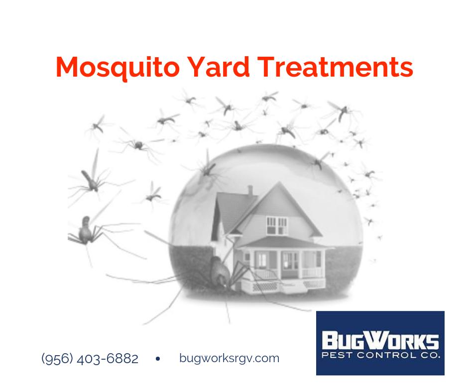 BugWorksRGV's tweet image. Spray those annoying mosquitoes away! Call BugWorks at (956) 403-6882 to schedule a mosquito treatment.

bugworksrgv.com
