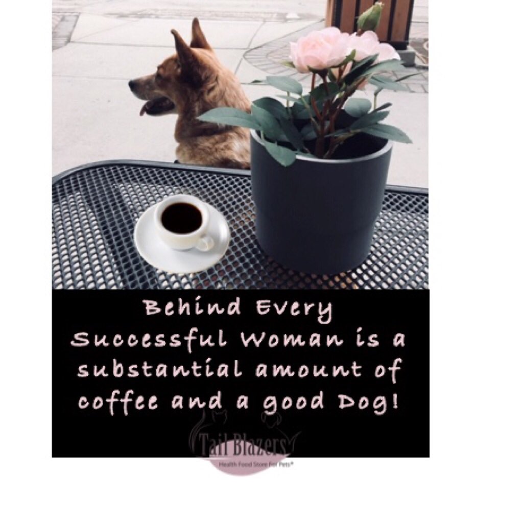 TBWindermere's tweet photo. Happy Monday! Behind every successful woman is herself a strong coffee and a good dog! https://t.co/1UHWP9rwhX