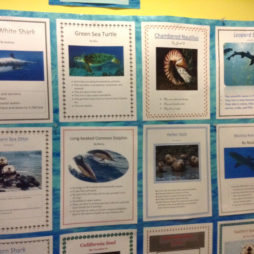 DAltermanMFS's tweet photo. Enjoy and learn from our MFS gallery of 3rd grade ocean life posters @MFSLibrary https://t.co/EOG6fvCSuC