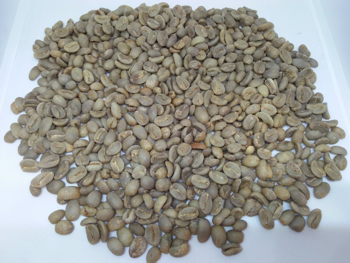 Inilah hasil greenbean kopi arabika mandailing yang kami proses sampai tahap penyortiran. Setelah ini barulah masuk ke ruang proses roasting
#kopiarabika #kopiarabikamandailing