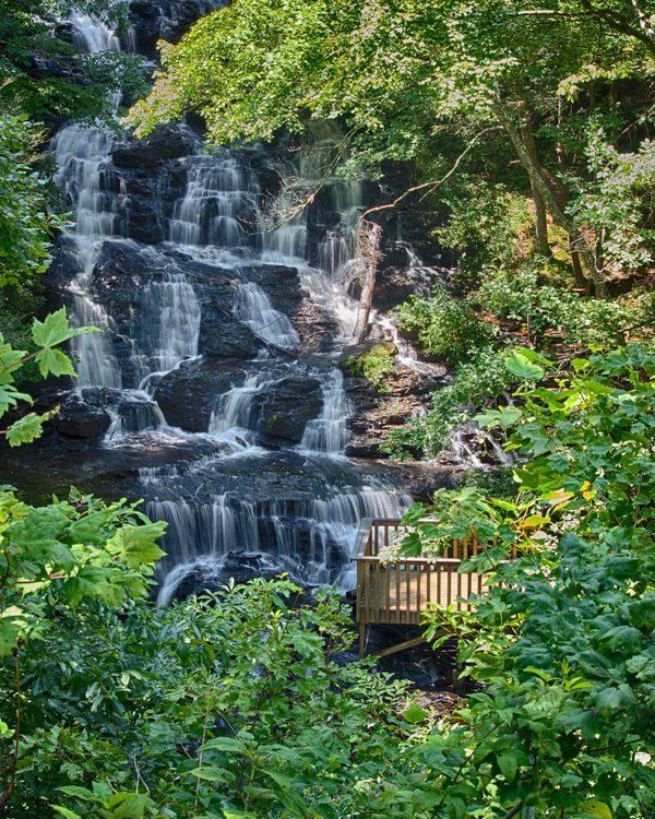 GAposts's tweet image. Blairsville, Georgia