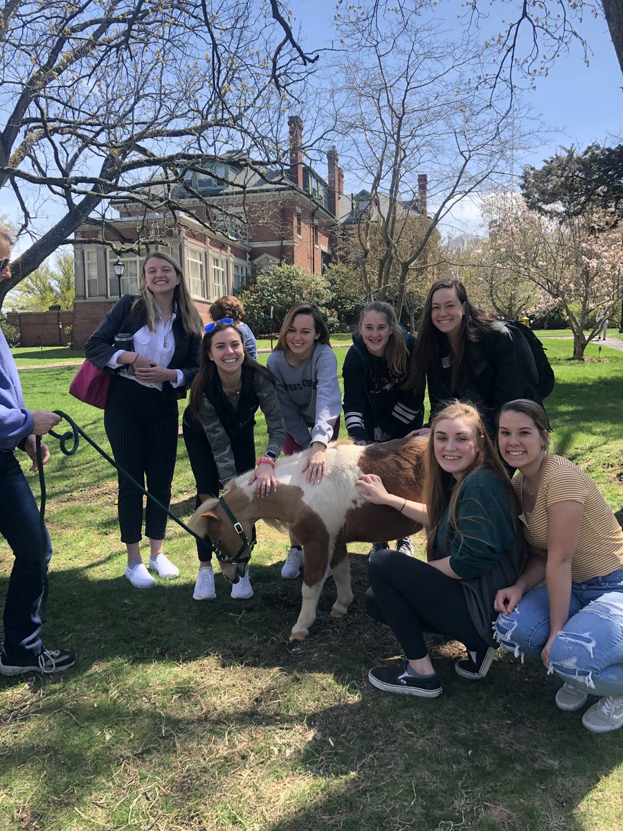 Dakota’s meeting some great people today out on the Library’s front yard! Even Officer Lutz stopped by for a pic with some fantastic students! Go say hi! 🐴 <a href="/RegisCollege_MA/">Regis College</a> #regis #animalassistedtherapy