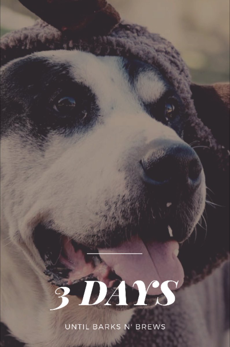 barks_n_brews's tweet photo. 3 DAYS until Barks 'N Brews!! https://t.co/GHJ1omwu5O