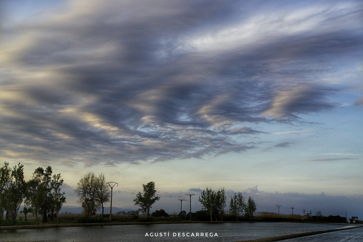 agus_descarrega's tweet photo. Unes 📸 núvols fantasma #DeltadelEbre
#StratusUndulatus
📍 #Deltebre #TerresdelEbre 29/04/19
#324eltemps

@elsmatins @gemmapuigf 
@SoniaPapell
 @enricagud @jjanue @TomasMolinaB @alcantara_alb @ARAmeteo @Vakapiupiu @eltempsTV3 @naciodigital @Cat_Meteo @WMO @CatalunyaDiari @javioru https://t.co/C4DEnDDnTS