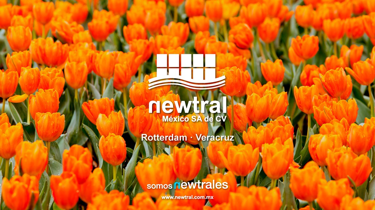 NewtralMX's tweet photo. #Koningsdag o Día del Rey, día que se celebra más que ningún otro día del año a lo largo y ancho de todo el Reino de los Países Bajos, todo el mundo se viste de naranja, símbolo de la Casa Real de #OrangeNassau.
#ImportService #Maritime #LCL #SomosNewtrales https://t.co/HW7XfQqyjS