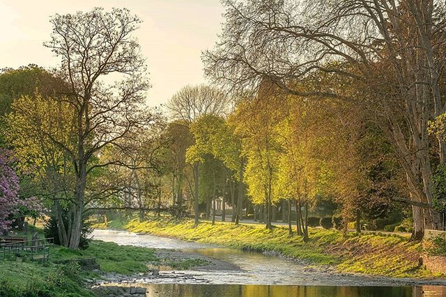 kaischneiders's tweet photo. Die Ahr am Kurpark in Bad Neuenahr.⠀
.⠀
Ist euch eigentlich mal aufgefallen, welche Kraft ein Sonnenaufgang hat? Im ersten Moment ist die Sonne noch nicht richtig aufgegangen, der Himmel ist hell, aber dem Tag fehlt noch der Glanz.⠀
.⠀
Dann mit einem Mal ist sie da. Und … https://t.co/oU2AIoBTaF