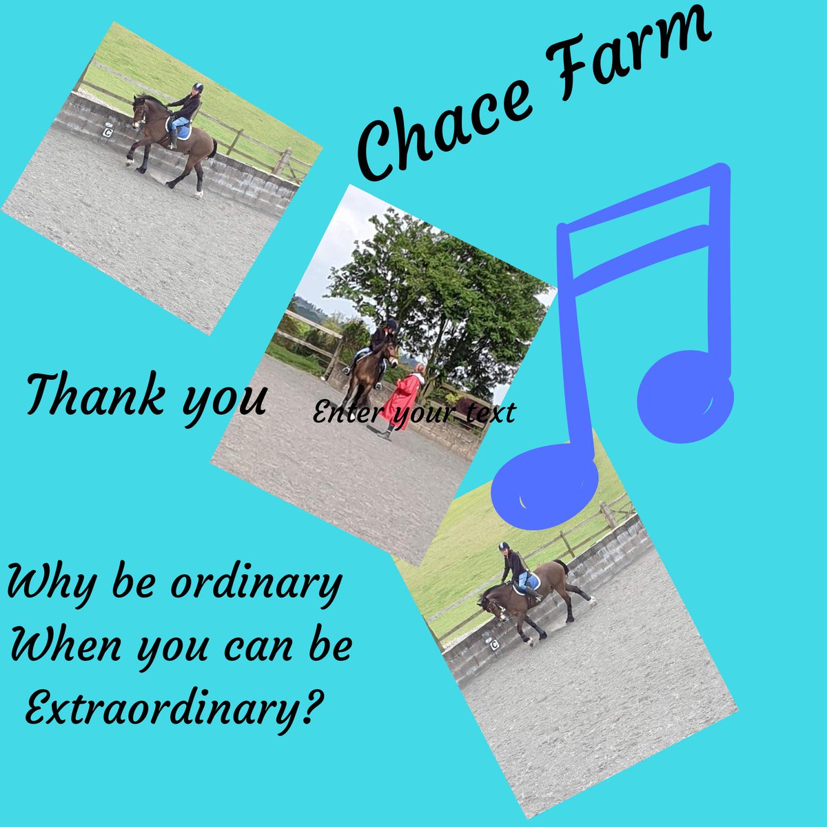 AmandaBirchDressage tweet media