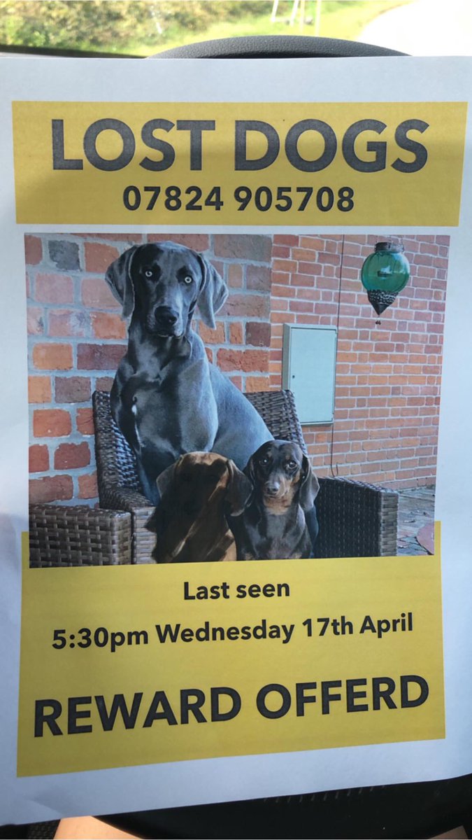 veryluckypugs's tweet photo. Facebook Page-LOKI n PIPPIN missing❤️
Where Are They Please?🙏 #findLoki #findpippin @Eloquencealways @thedogfinder @missingdogs155 @rosiedoc666 @gelert01 @SummerBreezeUS @RachaelB100 @suedaycam @jaynecellison @LizJ_T @psychicpenny @getskyhome @MissingPetsGB https://t.co/Aw4TrCXo0o