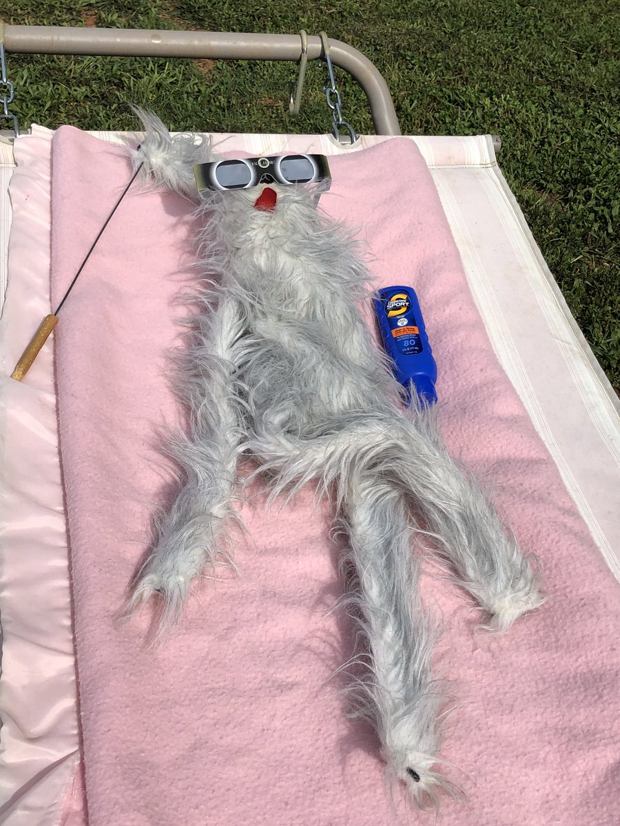 OreotheP's tweet photo. Summer vacation is near! #haveagreatday #summertime #remembersunscreen #furdoesnottan #SummerIsLove https://t.co/HTL70k6kg9