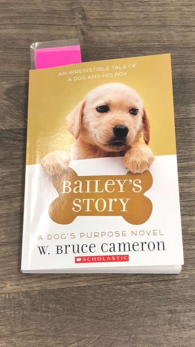 1_rockstars's tweet photo. For reading stations me and my friend are reading Bailey’s story #readingrotations #SpartanStrong https://t.co/kcMqBjiFgW