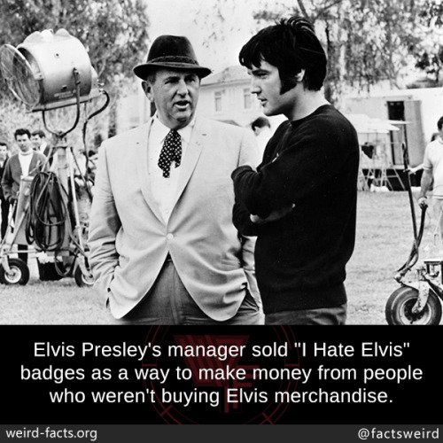 edbreakdotcom's tweet photo. Elvis Presley’s manager sold “I Hate Elvis”... Facts - #education #giveaway #quote #LifeChangingTipsForStudents #inspiration #life #metoo #facts #newprofilepic #ff #follow #photography #nature https://t.co/c6gXbHqWvK