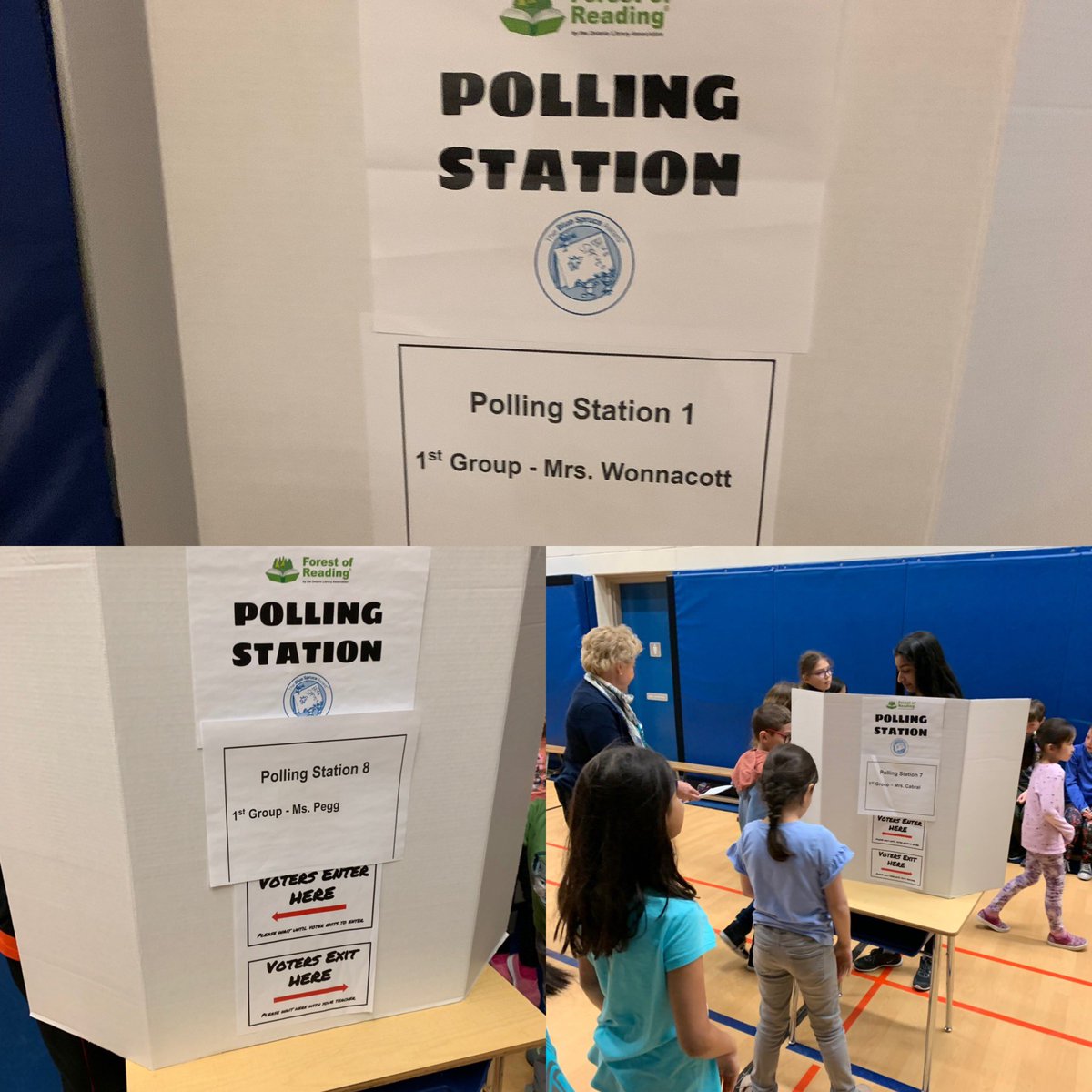 AlexMuirPS's tweet photo. Forest of Reading primary student voting on now! @AlexMuirPS #ampslearning #ampsIMPACT https://t.co/ihXnPflsfu