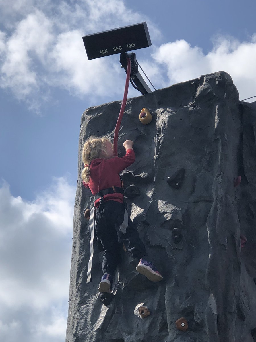 PauntleyHead's tweet photo. A great start to the week! Anyone for a bit of climbing? And no, we can’t buy one! https://t.co/8QxdeIJDTh