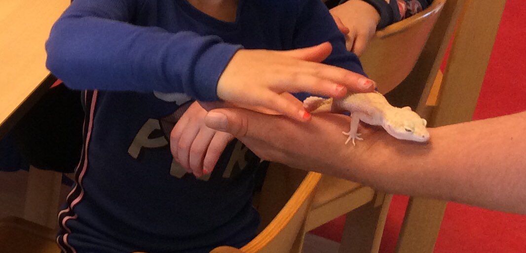 Meivakantie op de BSO #thema #Dierenrijk vandaag zijn de #reptielen aan de beurt