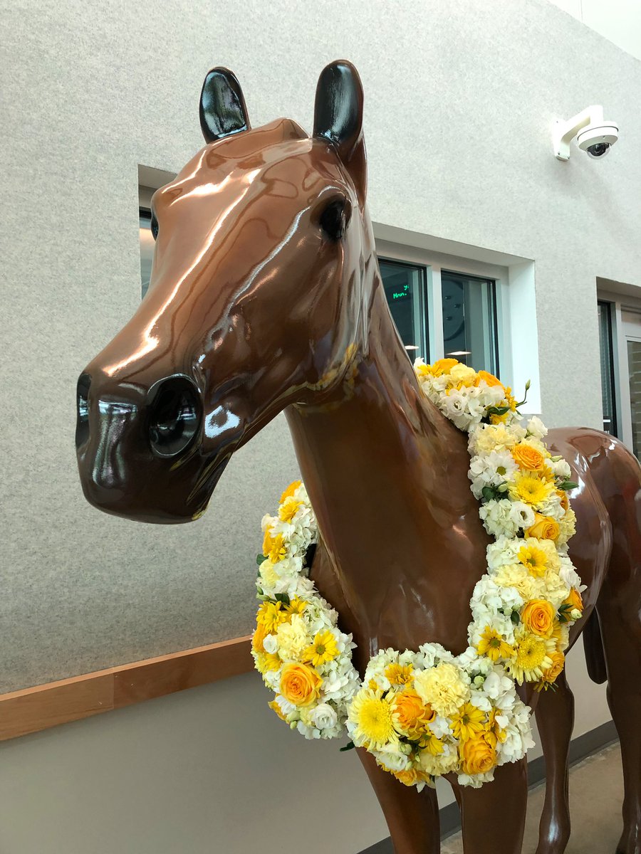 accdistrict's tweet photo. Good morning! ☀️ Today we honor Dr. Suanne Davis Roueche for her support and dedication to ACC veterinary technology students. Join us on our Facebook Page for her dedication ceremony and ACC #Elgin’s #VetTech lobby sign unveiling! https://t.co/EZYzbLy5HR