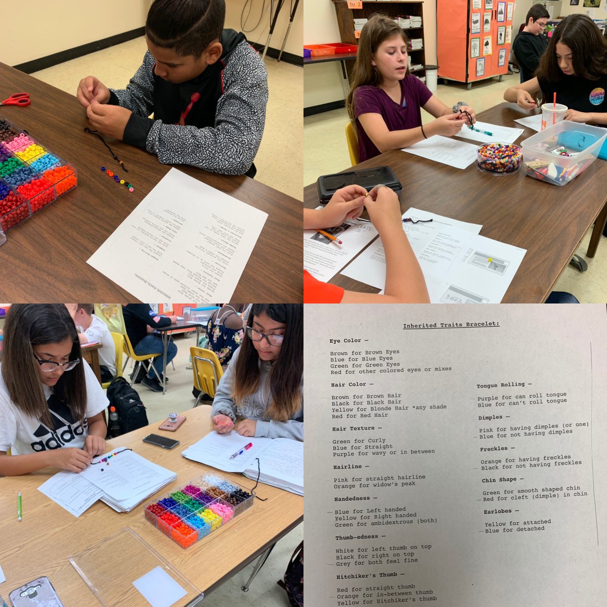 rspolk's tweet photo. Students working on their inherited trait bracelets! They are having a great time. #ibknowledgeable #PantherPride @PineViewMiddle #PascoDoingScience https://t.co/zZMMdWZZVw
