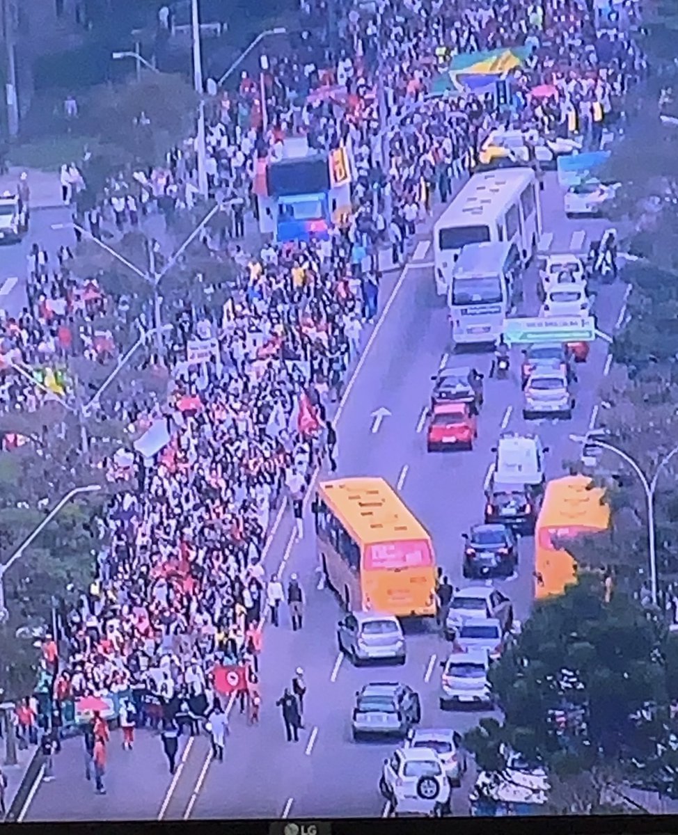 Simone Jabur🦑🇧🇷🇱🇧🇵🇸🇮🇹 tweet media