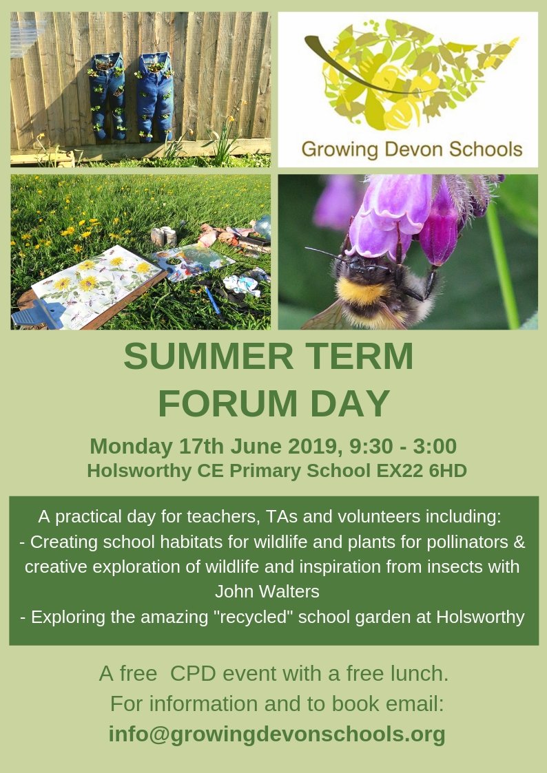 GrowingDevonSch's tweet image. plans are coming together for our next Growing Devon Schools Forum day. 
 Monday 17th of June 9:30-3:00 at Holsworthy Primary School. The focus is on gardens for wildlife. Free booking here: eventbrite.co.uk/e/growing-devo…
#schoolgardens #schoolfood #environmentaleducation