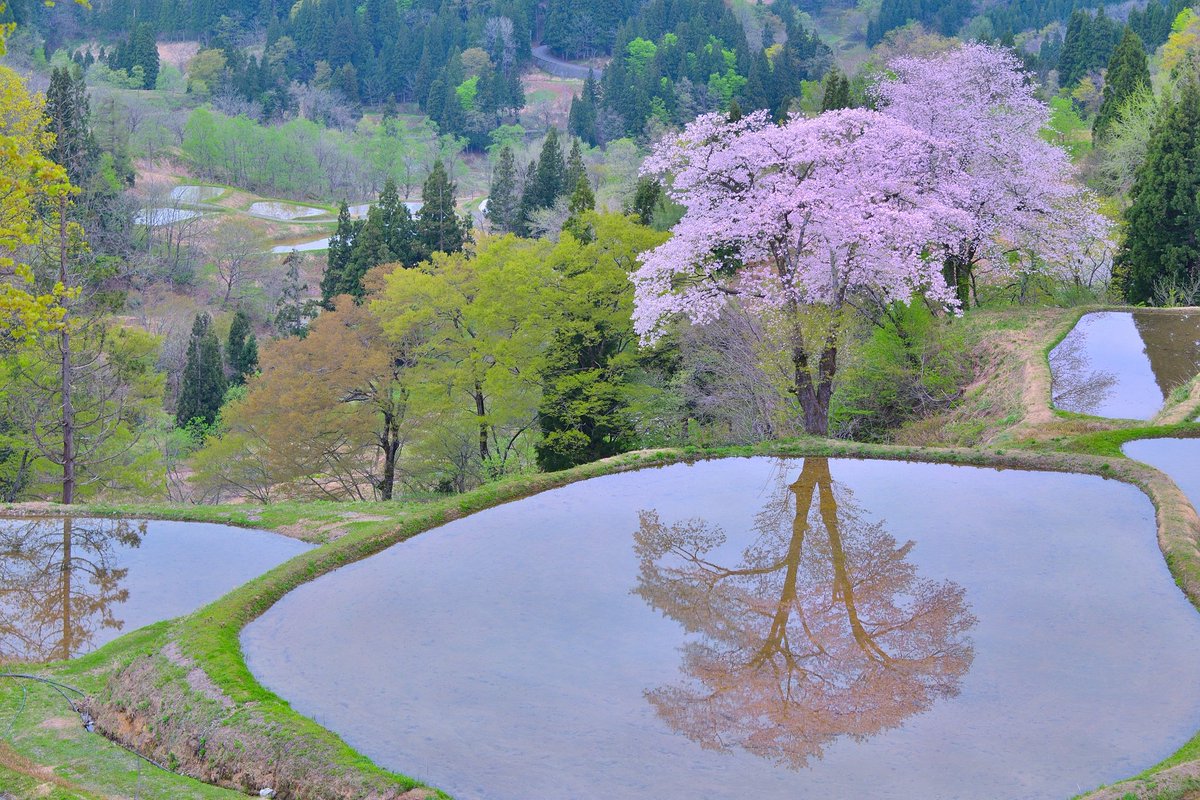 儀明の棚田 儀明の棚田
